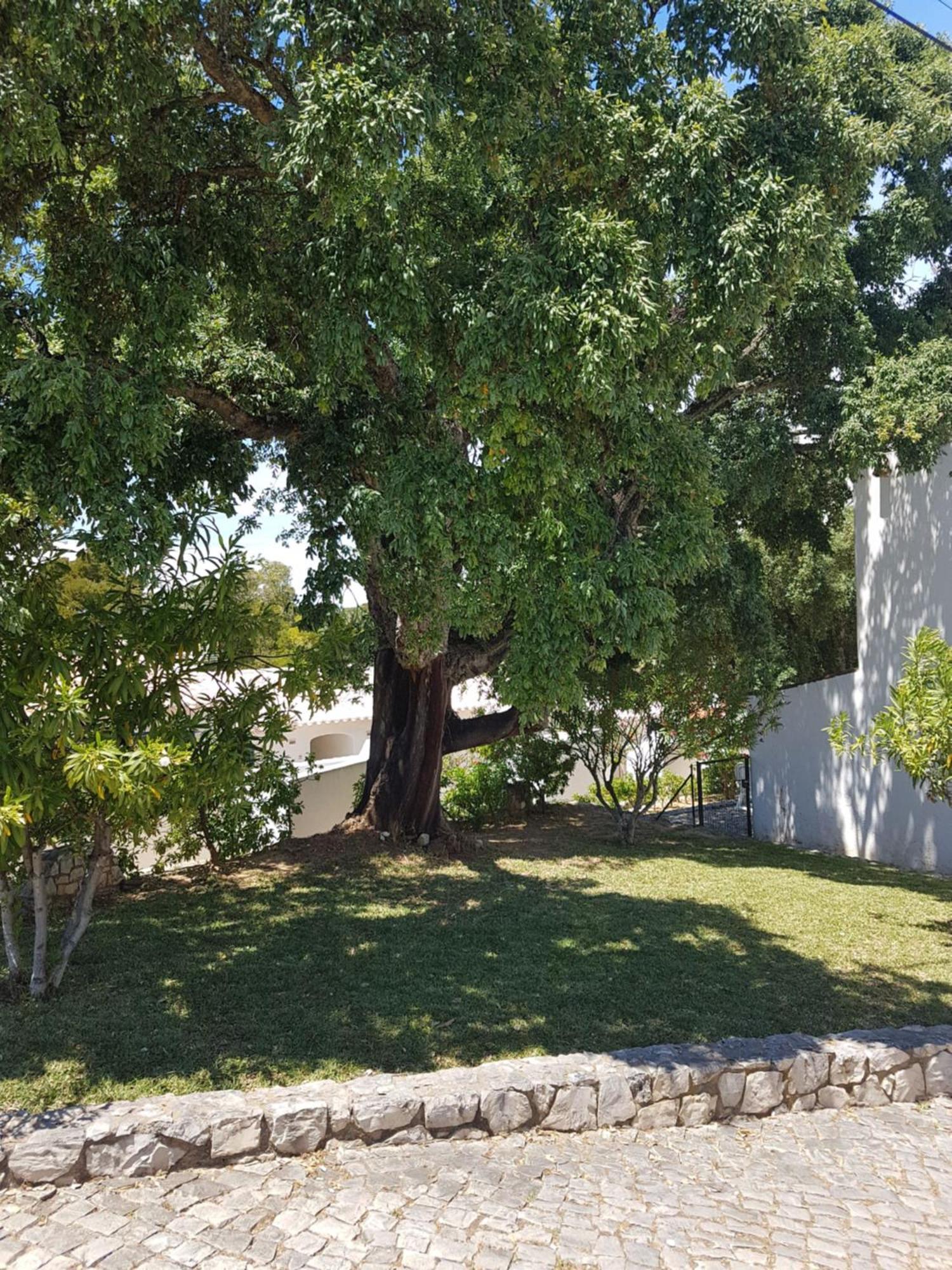 Balaia Gardens, Jardins Da Balaia Hotel Albufeira Ngoại thất bức ảnh
