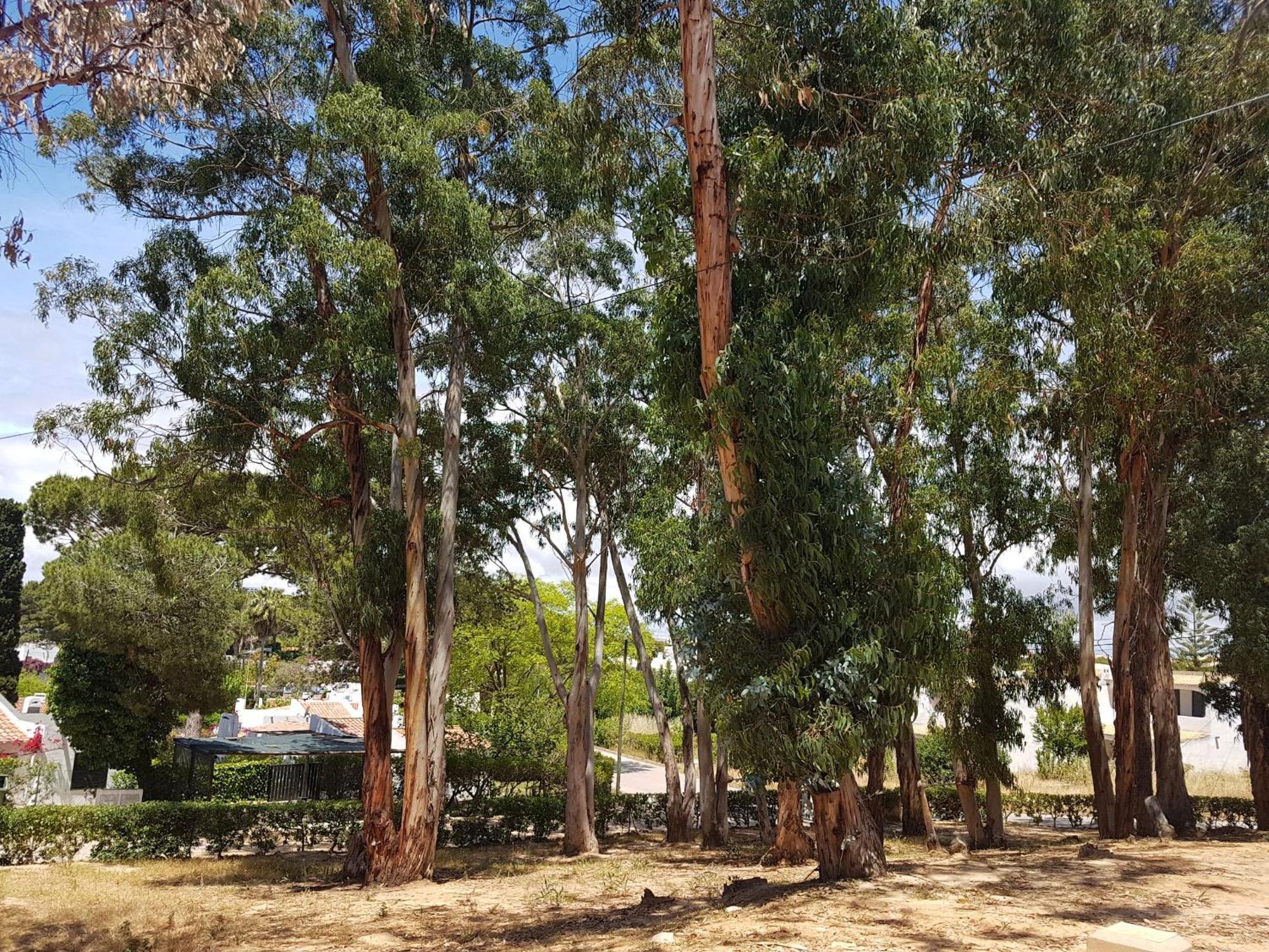 Balaia Gardens, Jardins Da Balaia Hotel Albufeira Ngoại thất bức ảnh